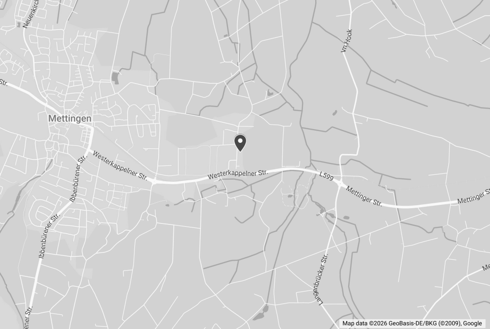 Statik Brandt - Standort Mettingen